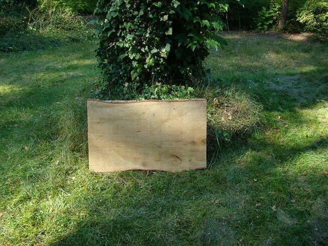 Płyta z drzewa lipowego dla rzeźbiarza.