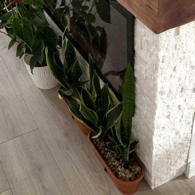 Panel Elewacyjny Stackstone Marmur Biały 36x10x1,3cm