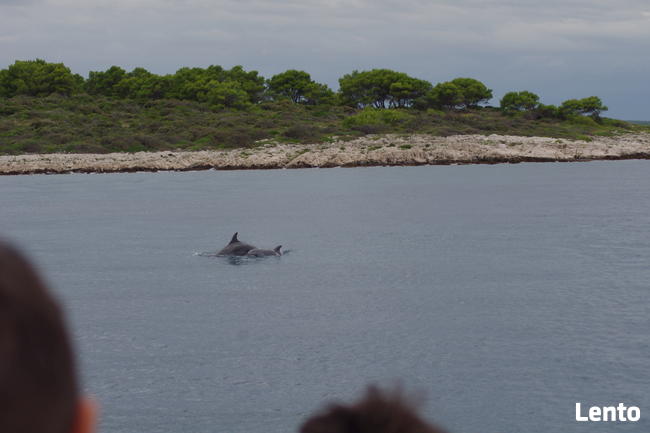 CHORWACJA 8 dni lot Wroclaw Dubrownik na 2026 r pobyt 1990z