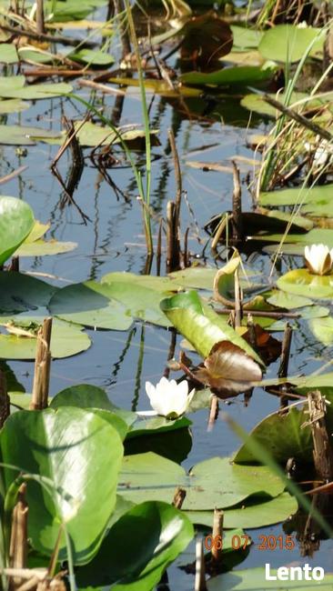 Wynajmę mieszkanie do zdalnej pracy (komputer, urządzenie wi