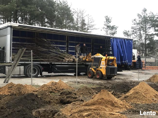 Piasek Tłuczeń Żwir płukany Piach Czarnoziem TRANSPORT mały