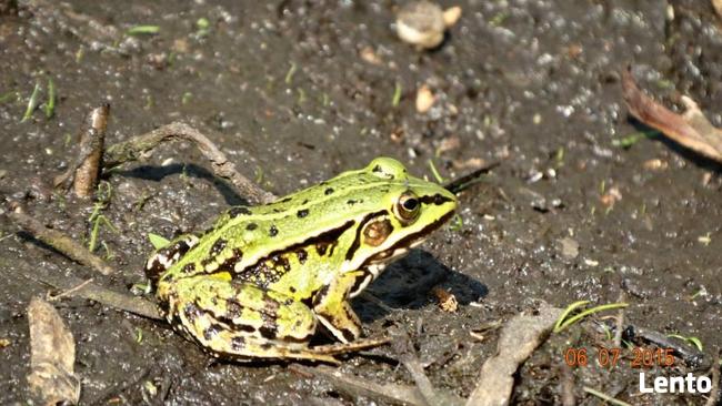 Wynajmę mieszkanie do zdalnej pracy (komputer, urządzenie wi