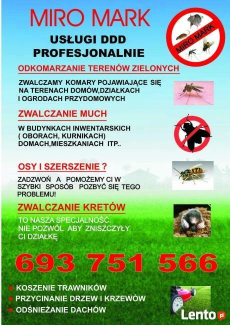 Dezynfekcja Ozonowanie Zamgławianie Auta Mieszkanie Biura