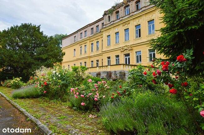REZERWACJA! Wyjątkowy pałac położony ok.30 km od Karpacza