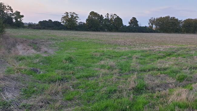 Sprzedam-Wydzierżawię działkę rolną pod inwestycje 6,22 ha