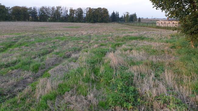 Sprzedam-Wydzierżawię działkę rolną pod inwestycje 6,22 ha