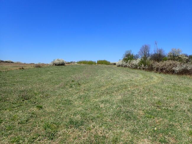 Działka siedliskowa - siedlisko 2,8ha Siedlec gmina Janów