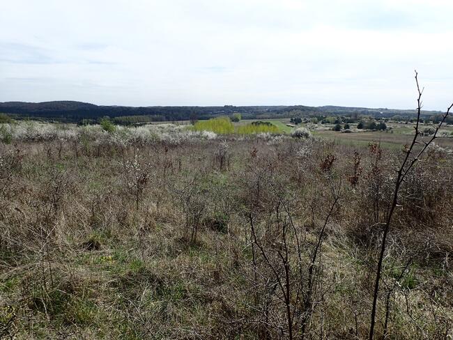 Działka siedliskowa - siedlisko 2,8ha Siedlec gmina Janów