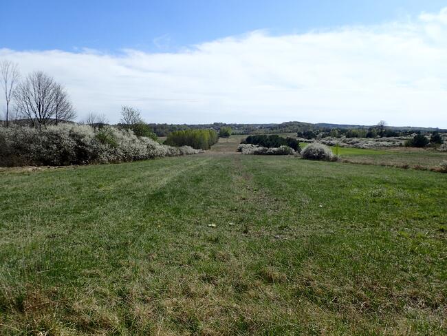 Działka siedliskowa - siedlisko 2,8ha Siedlec gmina Janów