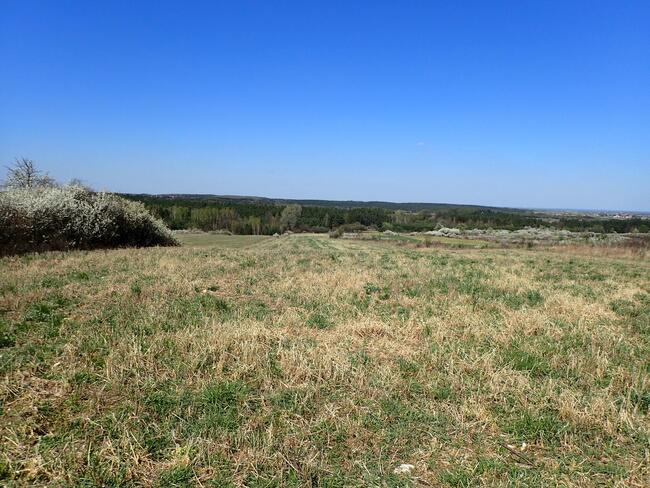 Działka siedliskowa - siedlisko 2,8ha Siedlec gmina Janów