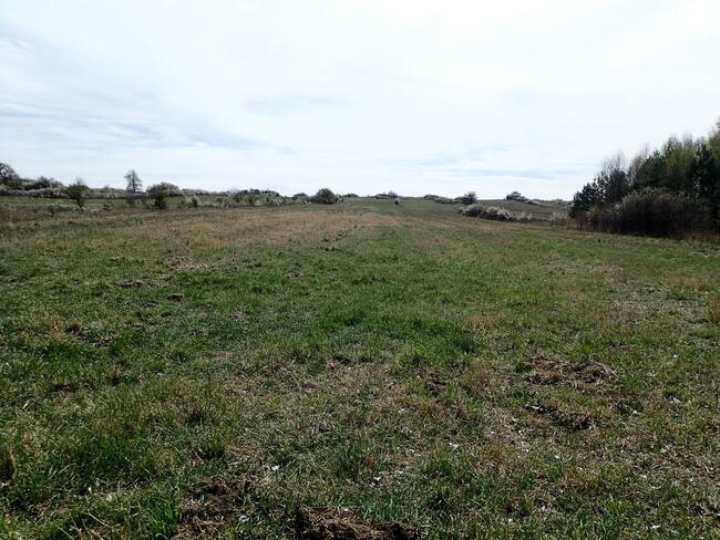 Działka siedliskowa - siedlisko 2,8ha Siedlec gmina Janów