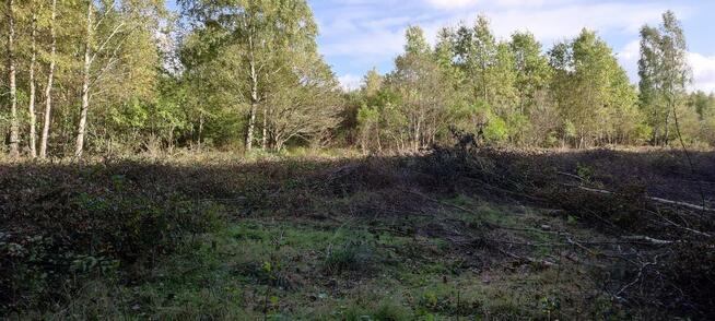 DZIAŁKA W OSTROWIE GM. WŁADYSŁAWOWO- 2 km od MORZA