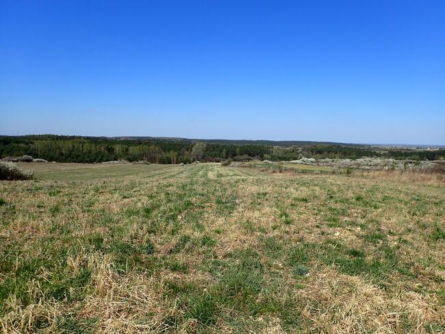 Działka siedliskowa - siedlisko 2,8ha Siedlec gmina Janów