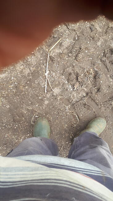 Która chce chłopaka ze wsi ;)