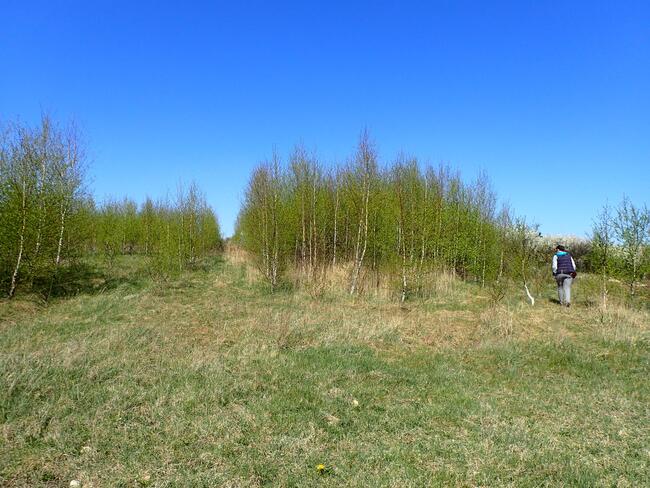 Działka siedliskowa - siedlisko 2,8ha Siedlec gmina Janów