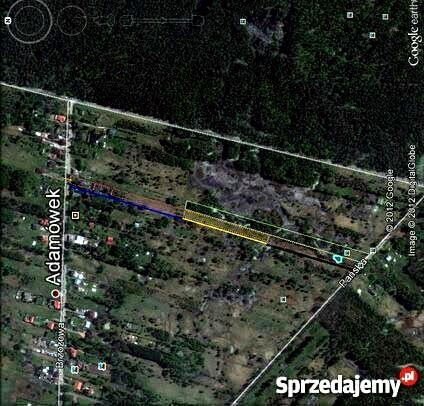 Bajeczna dzialeczka przy Kampinosie