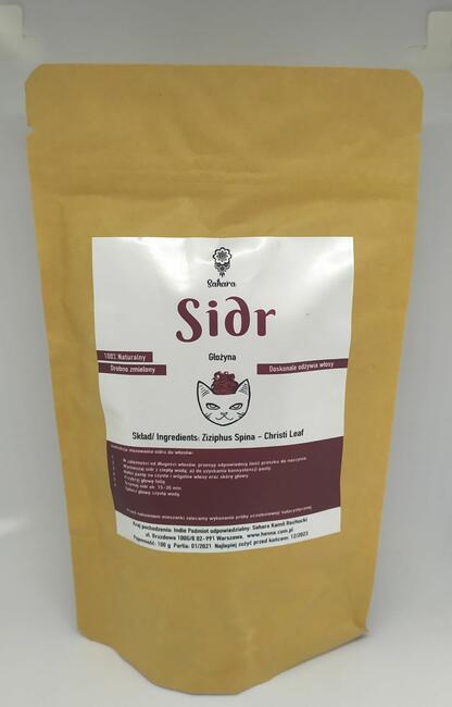 Sidr Sahara Głożyna Ziziphus Spina - Christi SKLEP