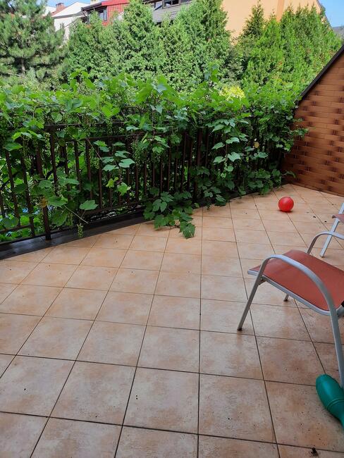 8p, 290m, okolice Zabrodzkiej TARAS/OGRÓD/GARAŻ (Wrocław)