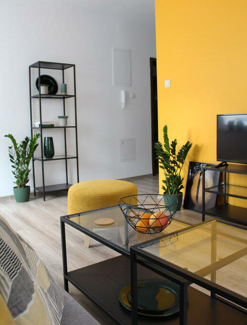 Noclegi dla pracowników w eleganckim mieszkaniu