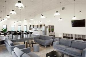 Praca przy zbiorze pieczarek