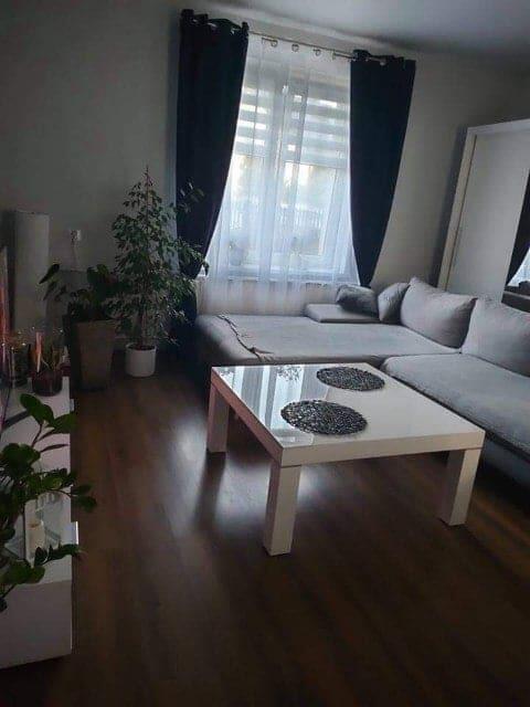 Do sprzedaży duża działka z małym domkiem