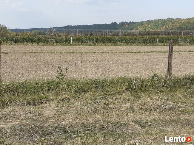 Działka 480/1 w Parchatce okolice Kazimierza