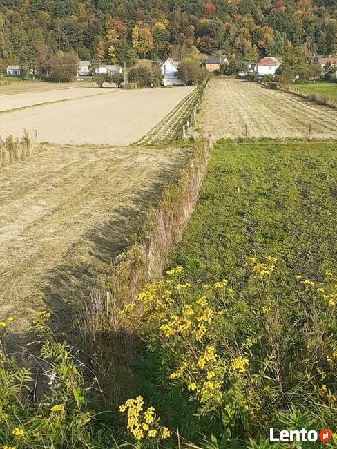 Działka 480/1 w Parchatce okolice Kazimierza