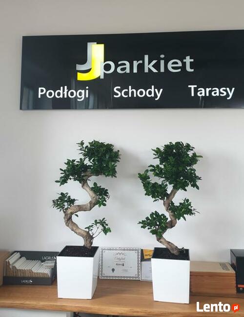 Cyklinowanie, renowacja podłóg drewnianych, schodów