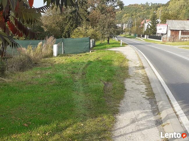 Działka 480/1 w Parchatce okolice Kazimierza