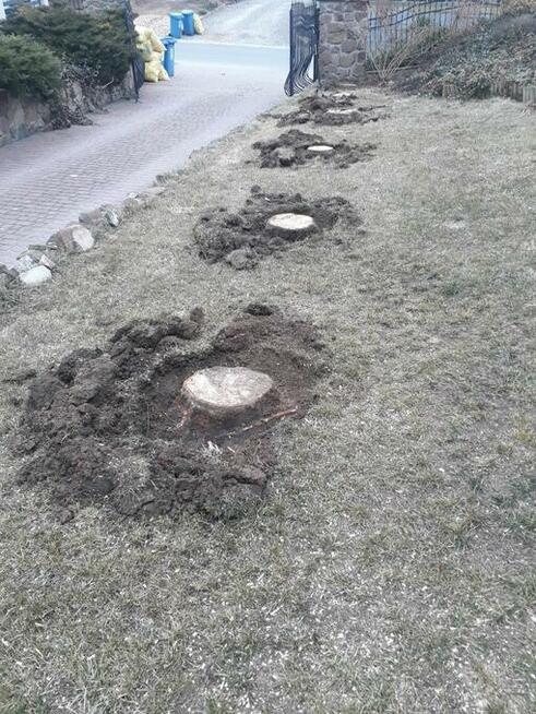 Frezowanie pni / karp