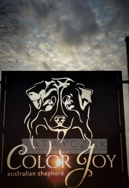 Furtka Bramka Komplet 1,50m wycinane CNC