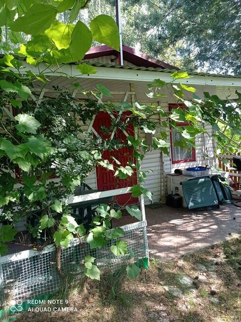 SIEDLISKO NA PODLASIU-SPRZEDAM!!