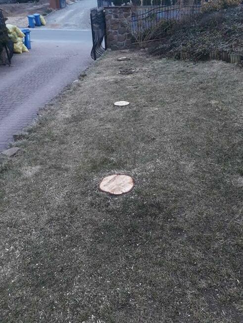 Frezowanie pni / karp