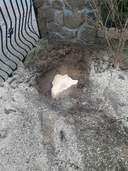 Frezowanie pni / karp