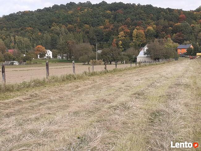 Działka 480/1 w Parchatce okolice Kazimierza