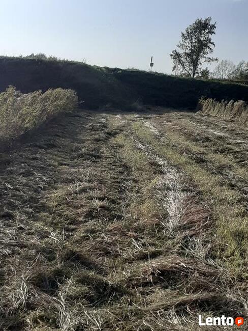 Działka 480/1 w Parchatce okolice Kazimierza