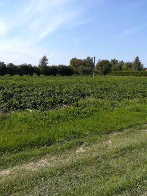 Działka budowlana Nowogród