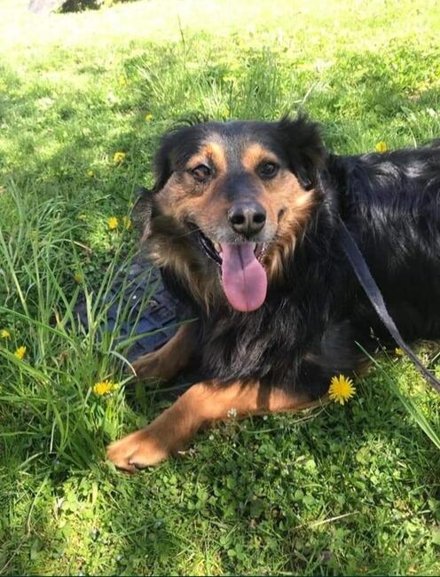 Marzę o domku gdzie zaznam w koncu szczęścia