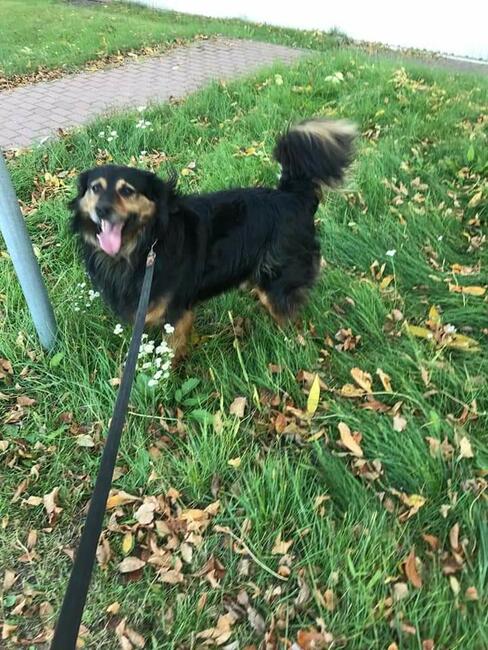 Marzę o domku gdzie zaznam w koncu szczęścia