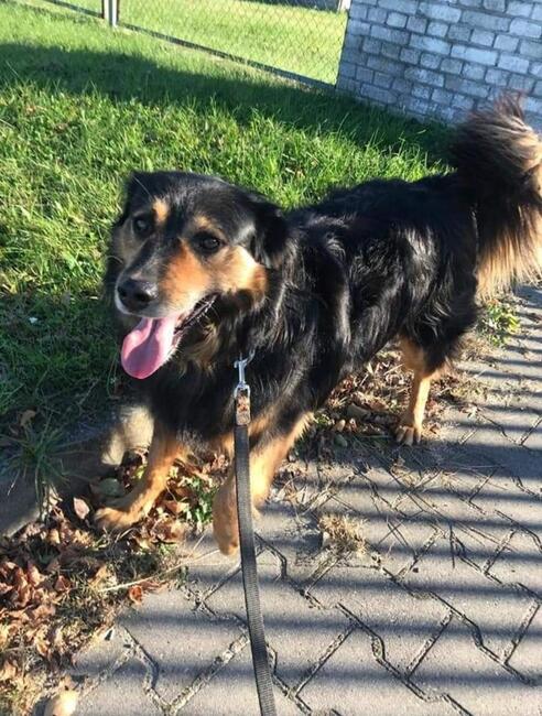 Marzę o domku gdzie zaznam w koncu szczęścia