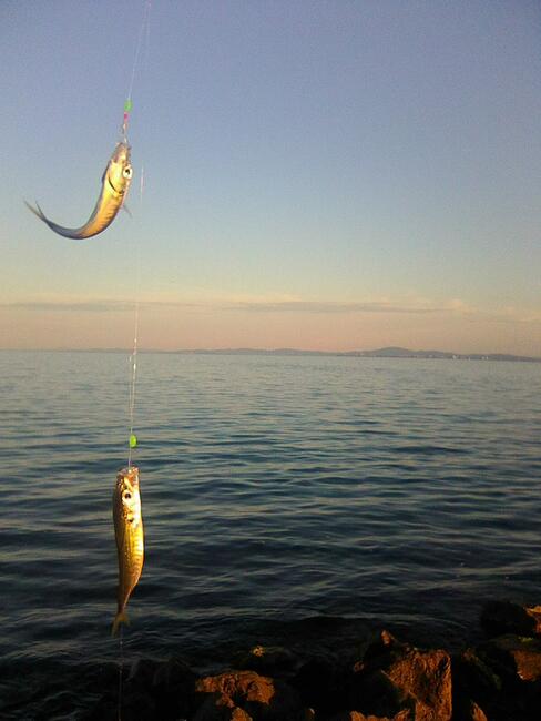 Apartament Bułgaria Marina Cape nad samym morzem sprzedam