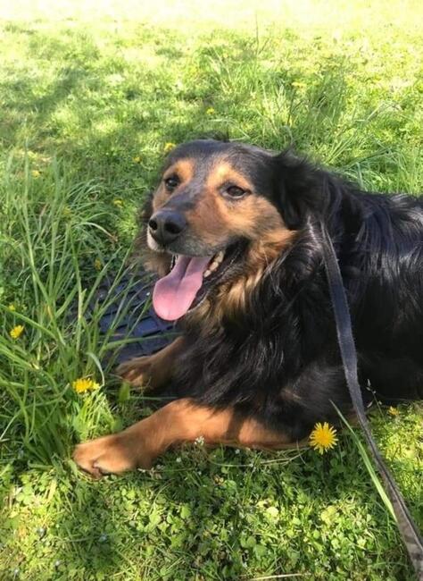 Marzę o domku gdzie zaznam w koncu szczęścia