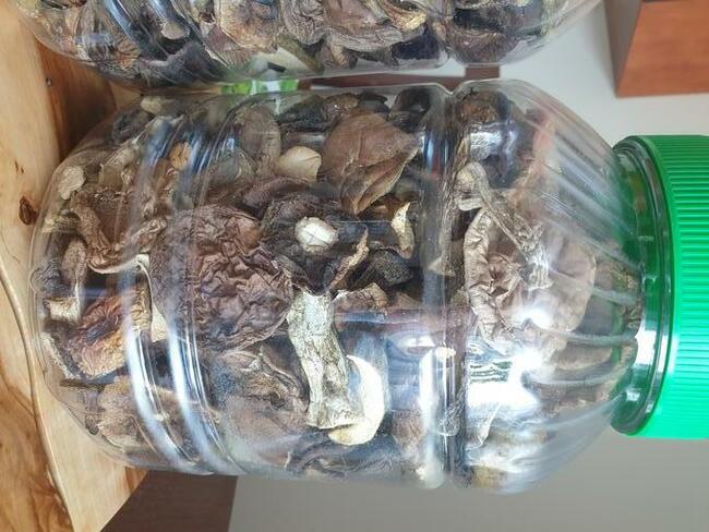 sprzedam grzyby suszone