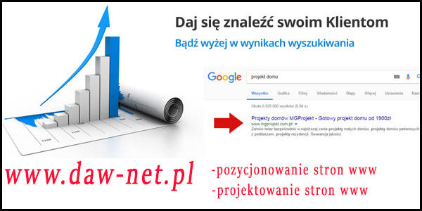 Promocja ! Profesjonalna strona internetowa / pozycjonowanie