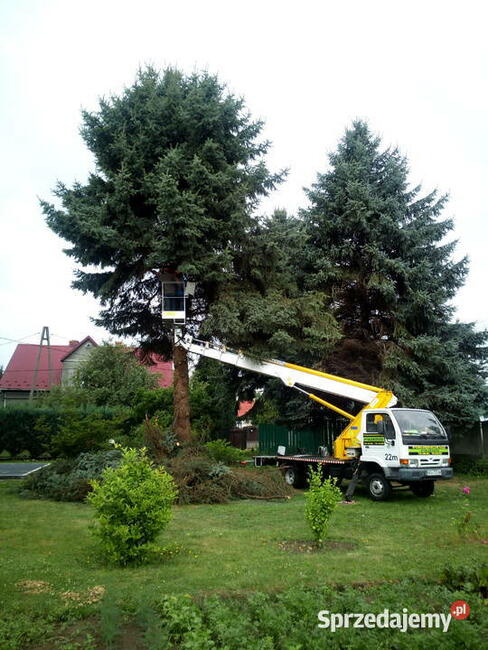 Wycinka Drzew Zwyżka rębak usuwanie korzeni Skawina