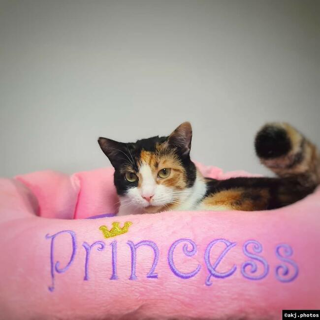 Balbina czeka już 5 lat