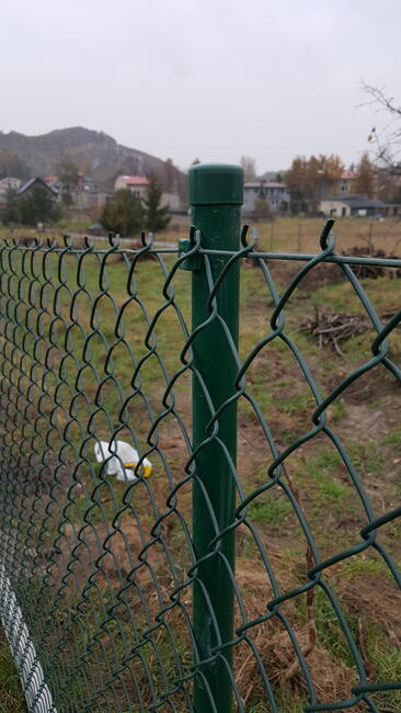 Siatka Ocynk+PCV 2.4/3.5mm wys.1.5m - 13 zł