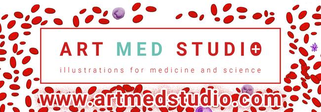 Maluje ryciny ilustracje medyczne, naukowe, anatomiczne