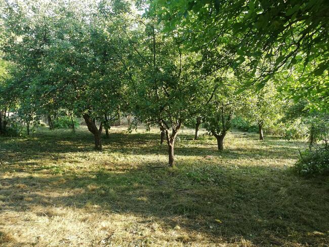 Dom z ogrodem i garażem ZAMIENIĘ !!!