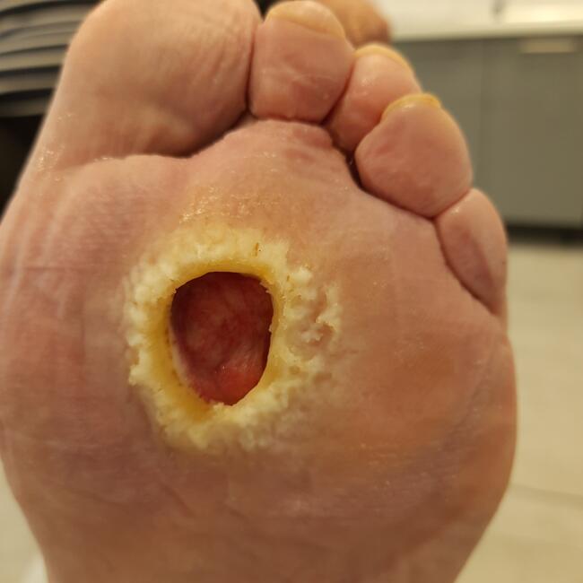 Podolog Płock Izabela Sobocińska